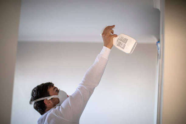 Best Toxic Mold Removal  in Clarks Green, PA