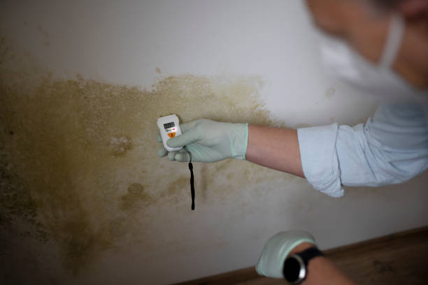 Best Water Damage Restoration  in Clarks Green, PA