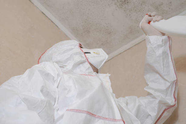 Best Mold Remediation  in Clarks Green, PA