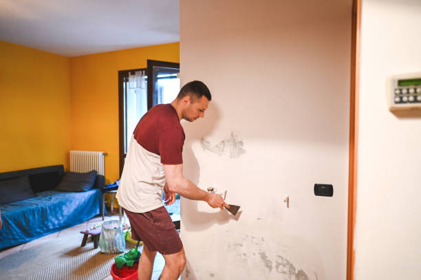 Best Home Mold Removal  in Clarks Green, PA
