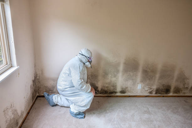 Best Crawl Space Mold Removal  in Clarks Green, PA